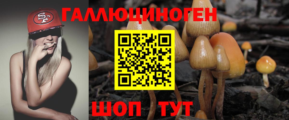 Азнакаево  Галлюциногенные грибы Psilocybine cubensis  Вход с VPN  Галлюциногенные грибы Magic Shrooms 